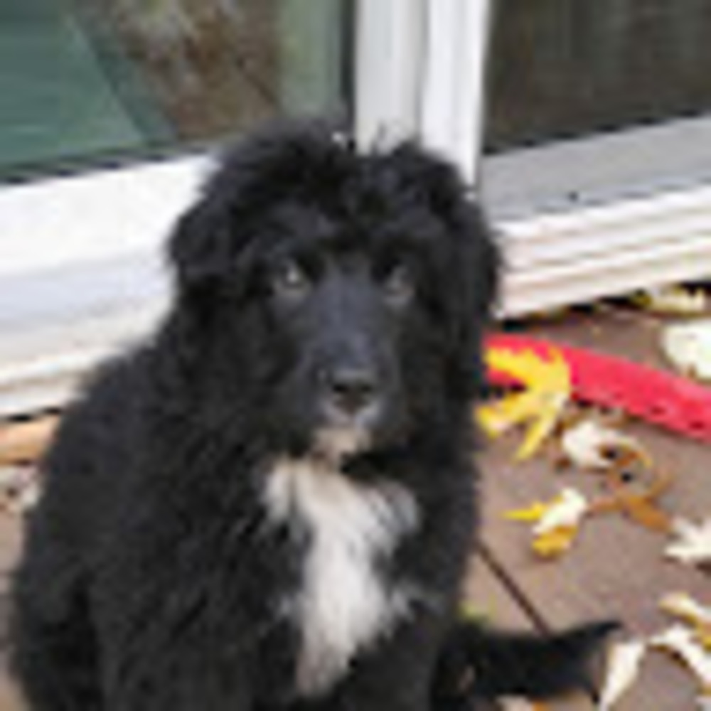 Meet your Posher, Beth